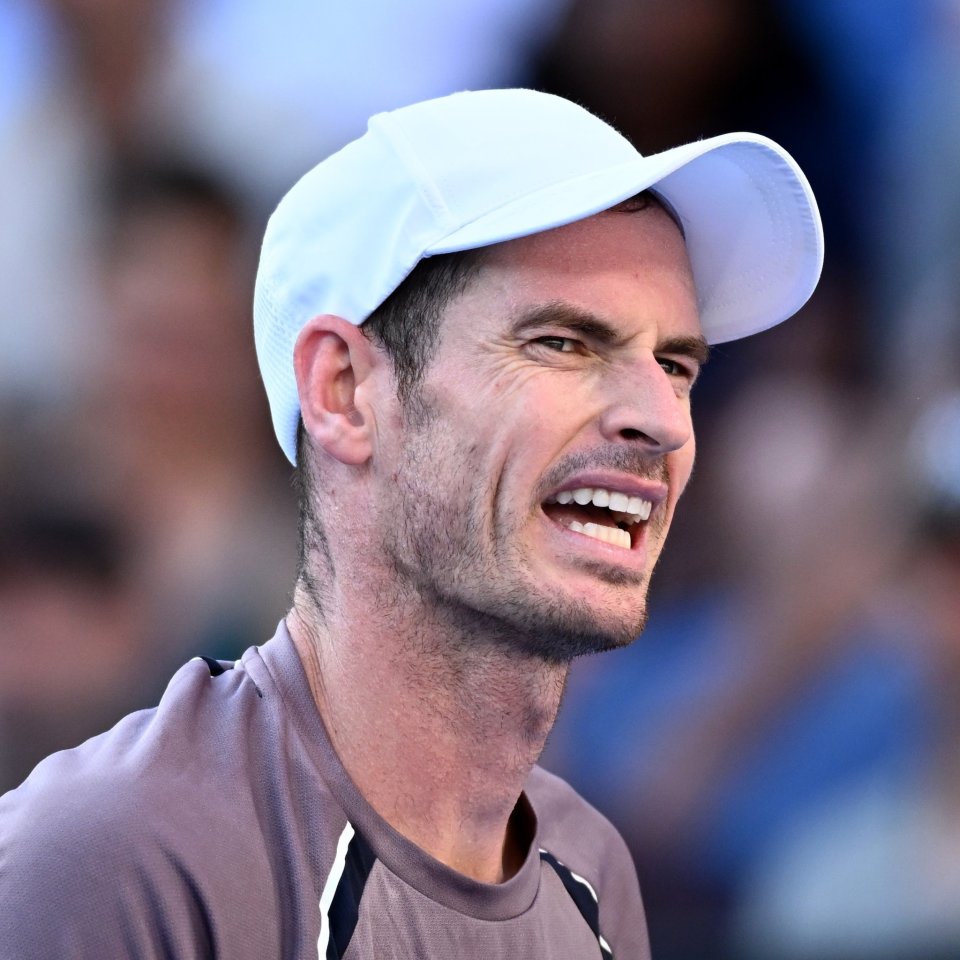 开云体育入口-包含美网力克年终总决赛，穆雷扛起全队的词条